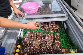 “秋季高温”拦不住出水的决心，本地新螃蟹“硬”战江苏六月黄图片