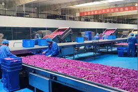 全省首位！济南新增专精特新“小巨人”50家图片