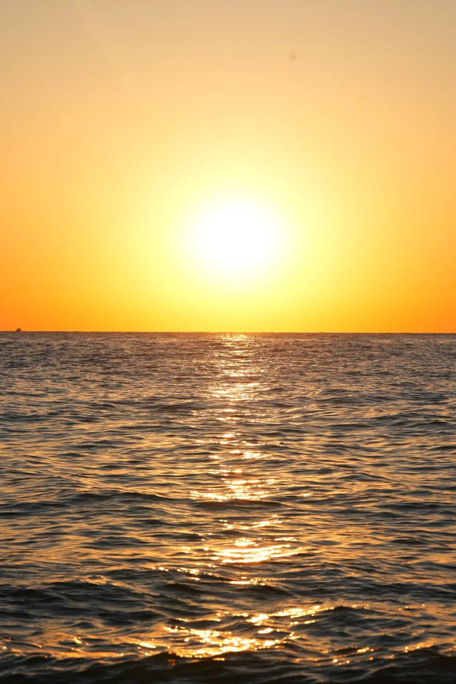 听说，冬天来日照大家都干这件事……