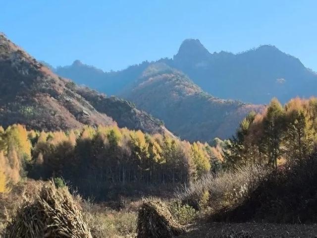岫岩清凉山风景区：绿海仙踪里的避暑秘境 夏日里最动人的诗篇