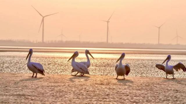 跨年，东台是认真的