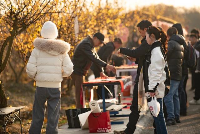 都江堰元旦田园游攻略：林盘漫步、山野美食……沉浸体验都江堰原汁原味的乡村风光~