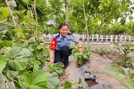 焉耆站派出所积极开展警营文化建设”小菜园 大丰收”图片