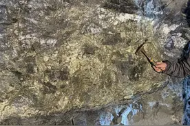 这里，再获高品位金矿段！图片