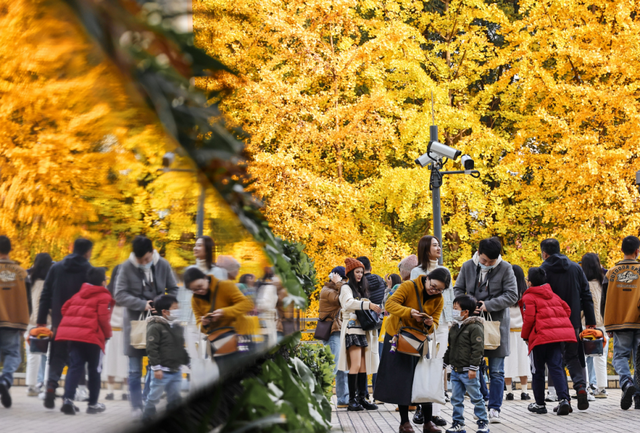 出站即是大片！上海秋日最美地铁站已上线→