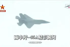 装备中国心的歼-35A与国风BGM绝配图片