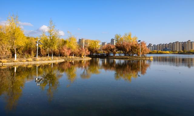 定西湖・初冬：柳黄映水 候鸟翩跹