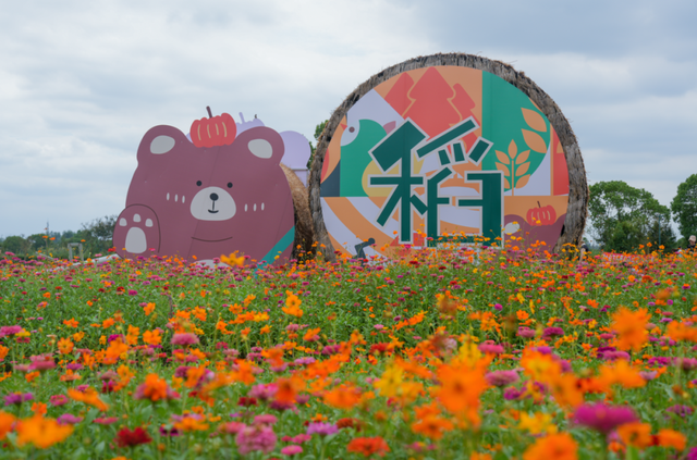 美景美食一网打尽！来这里，捕捉秋日限定浪漫