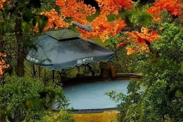 降温天的终极浪漫，是泡进一池温泉里！来南宁开启初冬仪式感