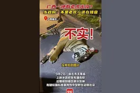 广西一地有老虎出没？最新回应图片