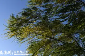 贵阳今日多地出现大风  最大风力已达8级图片
