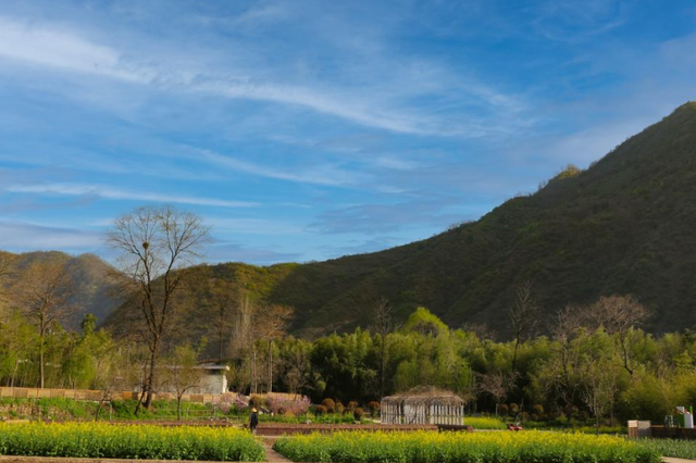 看！洛阳周边超适合过冬的地方被我发现了！