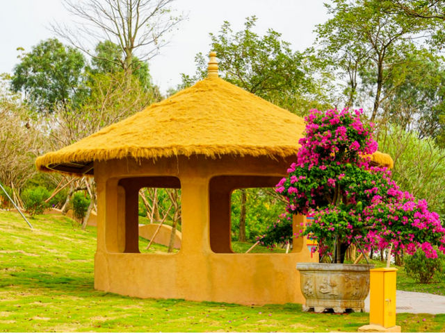 藏不住了！马岭千亩花海美成童话，福利门票免费送~