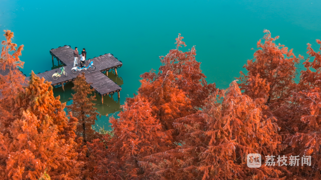 绝美！被初冬的句容惊艳到了