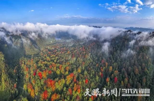 天眼影像丨看层林尽染 在宽阔水邂逅最美深秋