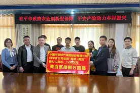 平安产险携手桂平市启动生猪“保险+期货”项目快速理赔图片