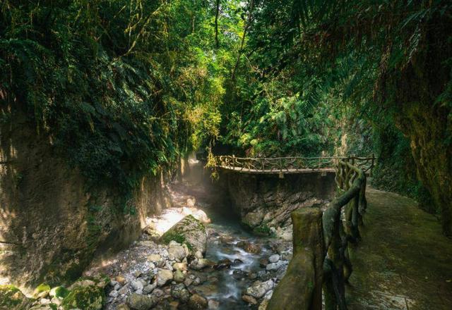 美翻了 巴山大峡谷百里彩林进入最佳观赏期