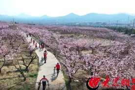 翼龙文旅打造诗意山亭，诚邀游客共赴春日之约图片