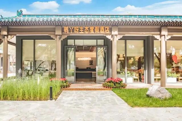 万鸟齐舞！北京这里成“候鸟天堂”，还有专属礼遇——