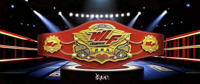 武林风走进江苏淮安涟水，青少年项目蓬勃发展！