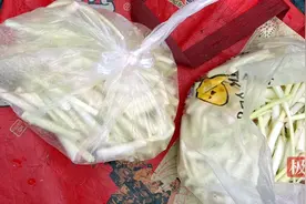 枸杞菜、田七芽……这些药食两用菜扎堆上市，气温升高，越卖越便宜图片