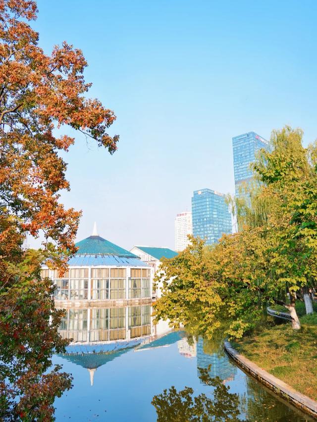 冬来秋未尽！秋天是赖上合肥了？