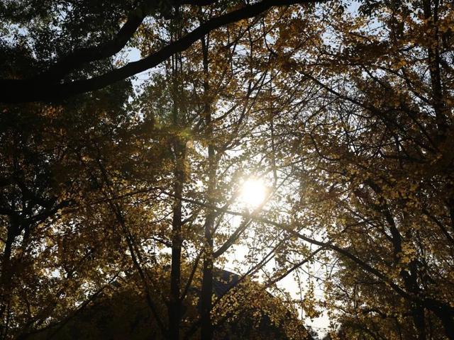 开福上新色：捕捉开福黄调时刻