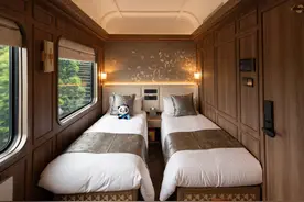 5.59万元起步，8个团已售罄！成都赴疆“熊猫专列”为何如此火爆？｜封面头条图片