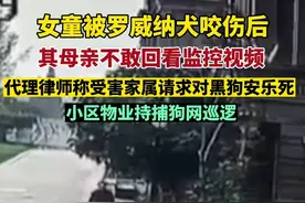 女童被罗威纳犬咬伤后：小区物业持捕狗网巡逻，代理律师称受害家属请求对黑狗安乐死，女童母亲不敢回看监控视频。图片