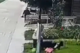 女童被罗威纳犬咬伤后：小区物业持捕狗网巡逻，代理律师称受害家属请求对黑狗安乐死，女童母亲不敢回看监控视频。图片