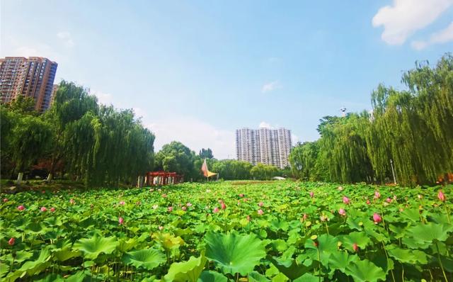 锦绣定州丨五彩铺陈画卷，一念倾心！