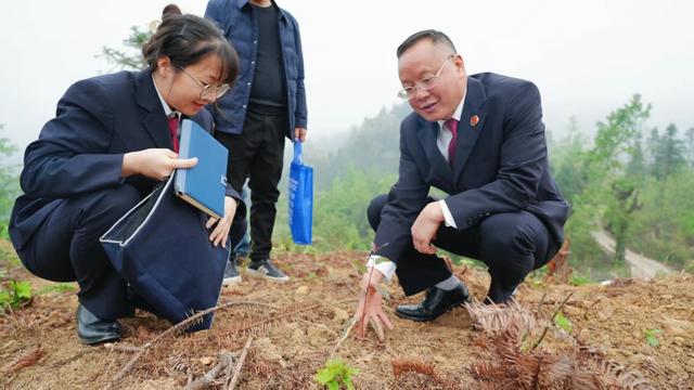 世遗山水 检心守护——荔波检察倾力守护“地球绿宝石”