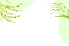初秋户外美拍，万亩良田等你来图片