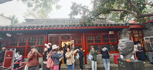 满树红彤彤，“丹柿小院”的柿子熟了