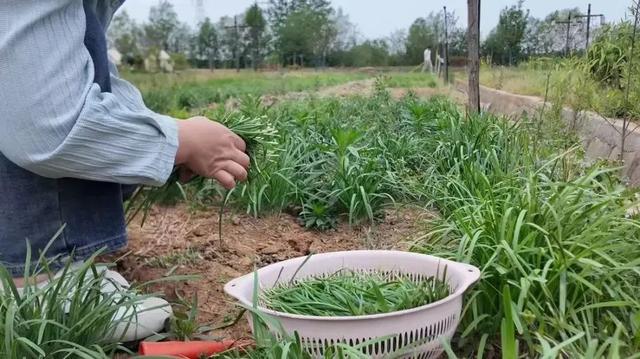 别EMO啦！治愈夏天的良药在这里→