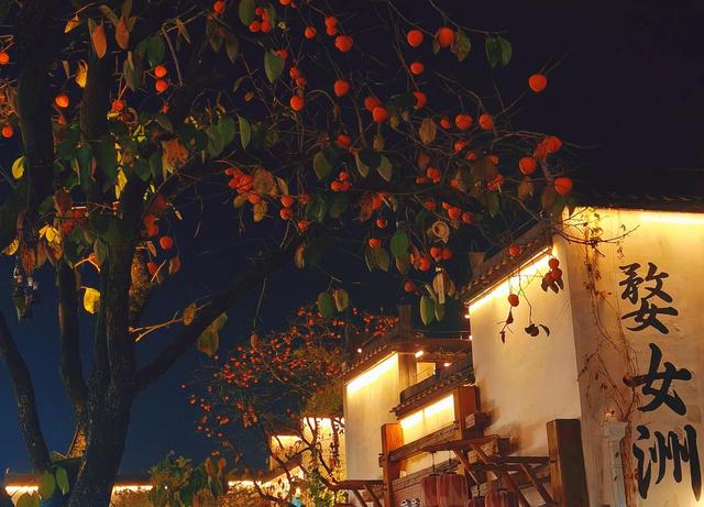 晚潮｜且道惊鸿婺源行