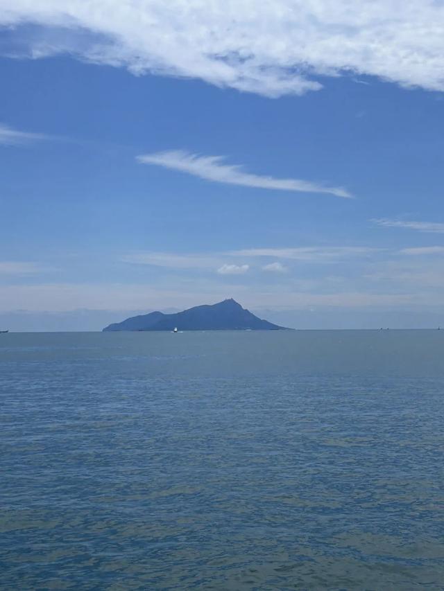 乘船打卡西海岸“醉”美橘海！出片自带仙气，含氧量超标！