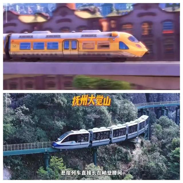 当朱迪尼克来到江西～原来这里也是疯狂动物城！