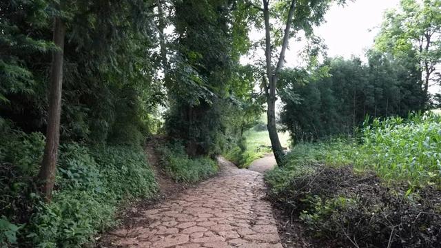 一关之隔两重天！胜境关何以有如此奇观？| 我们的雄关漫漫③