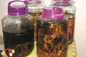 0.003g就能致死！广东人经常喝……图片