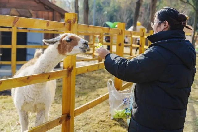 速藏启程！仪征秋季骑行一站式攻略，把秋景与趣味统统骑进眼里~