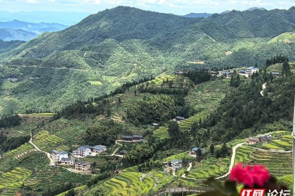 全球最长高山索道开通！解锁“云端赏梯田”新体验，秘境不再难寻