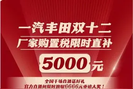 发放千万元购车券！“双十二”政企联合放大招，有车型补贴上万元图片