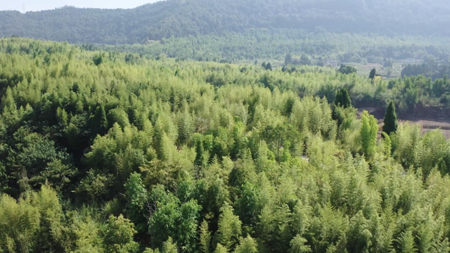 遇见西充，更遇见你！《慕・遇西充》公众号正式上线