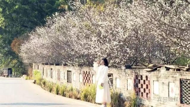 冬日暖游南宁环大明山寻味之旅，暖意美食与奇景相伴！