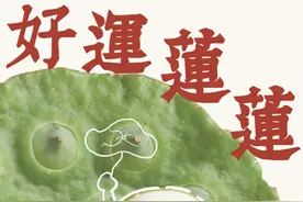 好品中国丨千年湘莲誉古今，万亩荷塘有“黄金”图片