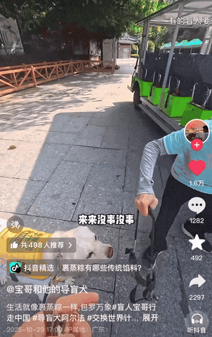 百万粉丝博主游鼎湖山感受“森呼吸”，善意相伴温暖旅途！