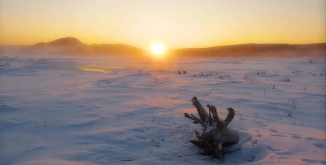 呼伦贝尔冬季，把 “孤独” 酿成浪漫