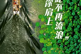 “我愿栖息在你肩上，从此不再流浪”图片