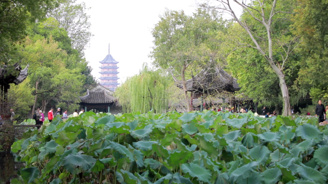 读城 | 苏州北寺塔不是塔？